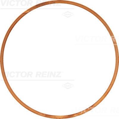 VICTOR REINZ 61-23555-00 Guarnizione, Testata