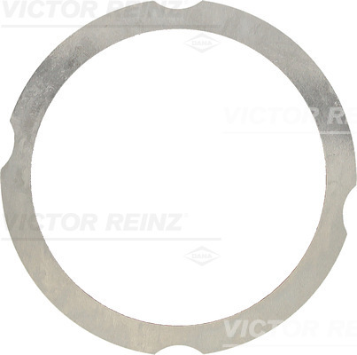 VICTOR REINZ 61-38260-10 Guarnizione, Testata