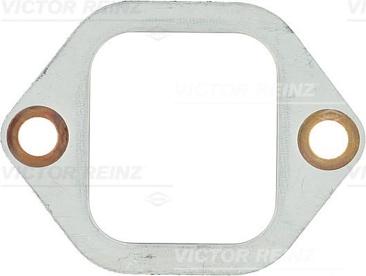 VICTOR REINZ 71-25062-20 Guarnizione, Collettore gas scarico-Guarnizione, Collettore gas scarico-Ricambi Euro