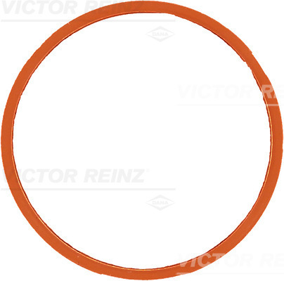 VICTOR REINZ 71-40258-00 Guarnizione, Collettore aspirazione-Guarnizione, Collettore aspirazione-Ricambi Euro