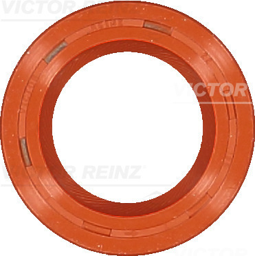 VICTOR REINZ 81-15377-20 Wellendichtring, Kurbelwelle