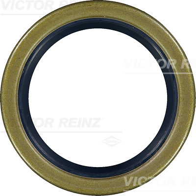 VICTOR REINZ 81-20991-20...