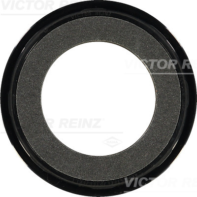 VICTOR REINZ 81-34062-00...