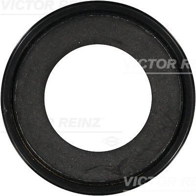 VICTOR REINZ 81-38027-00 Paraolio, Cambio manuale