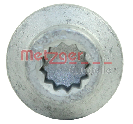 METZGER 0870099S Csavar, befecskendező fúvóka tartó AUDI SEAT SKODA VW