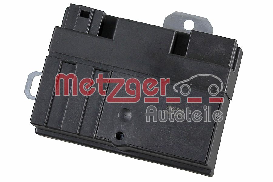 METZGER 2250583 Εγκέφαλος,...