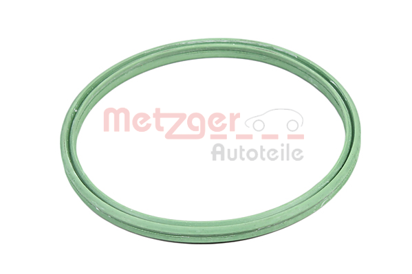 METZGER 2400581 Seal Ring,...