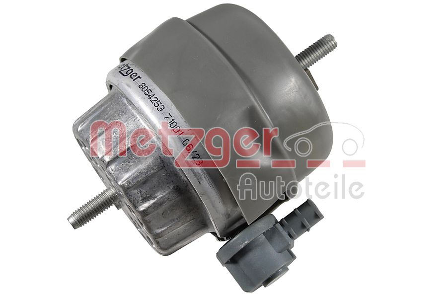 METZGER 8054253 Lagerung, Motor