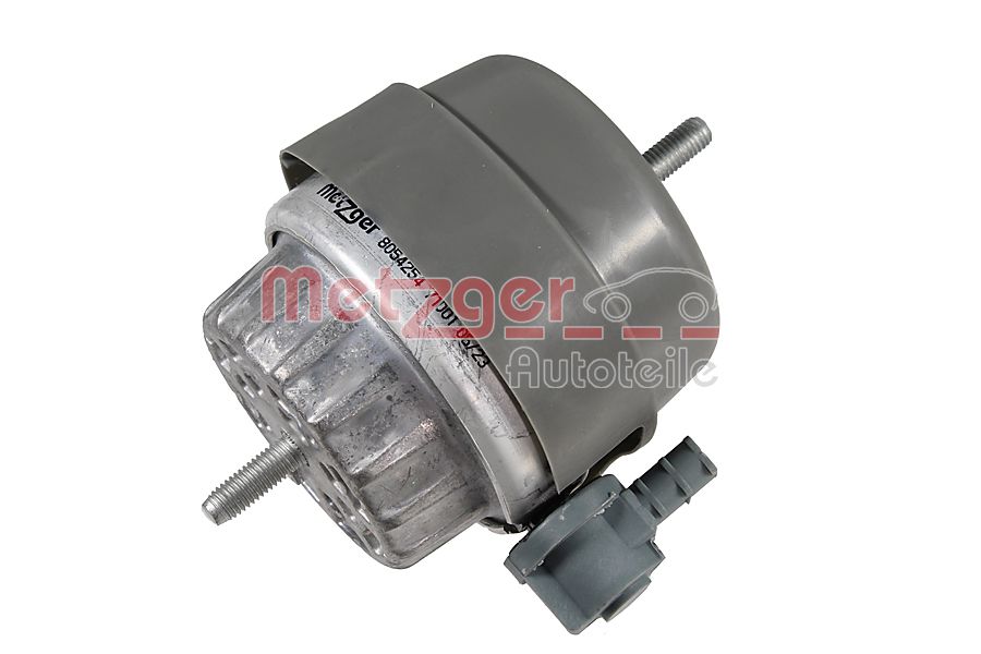METZGER 8054254 Lagerung, Motor