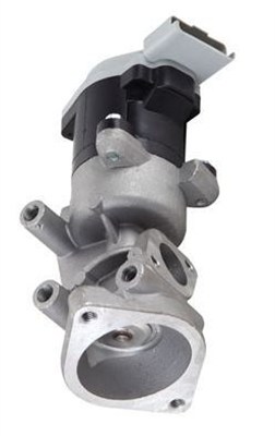 MAGNETI MARELLI 359000604620 Βαλβίδα AGR for LAND ROVER