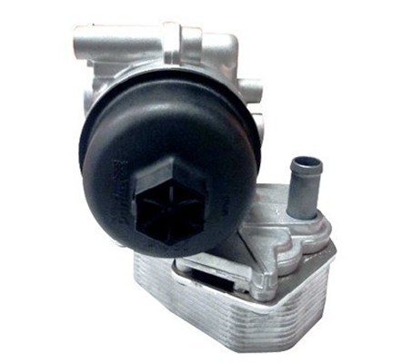 MAGNETI MARELLI 359001602640 Ψυγείο λαδιού, μηχανικό κιβώτιο ταχυτήτων for FORD