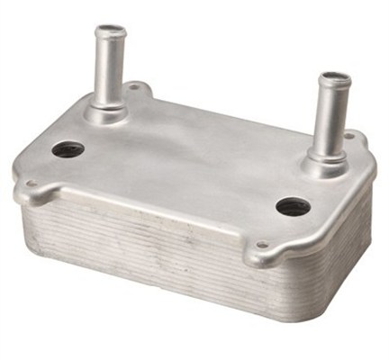 MAGNETI MARELLI 359001602690 Ψυγείο λαδιού, μηχανικό κιβώτιο ταχυτήτων for PORSCHE