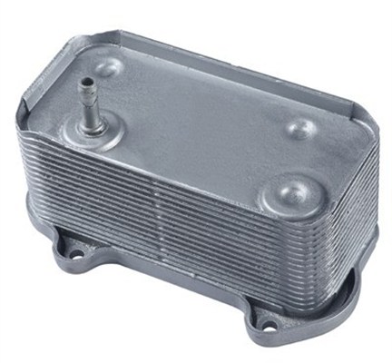 MAGNETI MARELLI 359001602710 Ψυγείο λαδιού, μηχανικό κιβώτιο ταχυτήτων for PORSCHE
