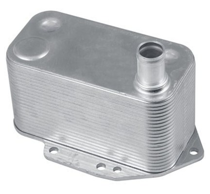 MAGNETI MARELLI 359001602810 Ψυγείο λαδιού, μηχανικό κιβώτιο ταχυτήτων for BMW