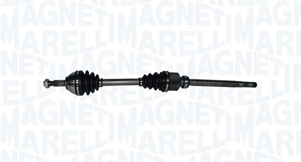 MAGNETI MARELLI...
