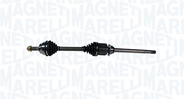 MAGNETI MARELLI...
